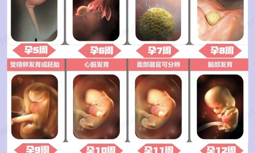 紧急避孕药一个月能吃几次-紧急避孕药月经期间吃有什么后果网 - 网站提供紧急避孕药吃了有什么反应小常识、紧急避孕药一个月能吃几次